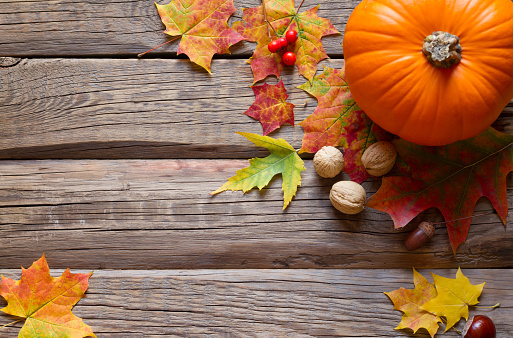 Colorful autumn leaves and pumpkin on wooden background concept