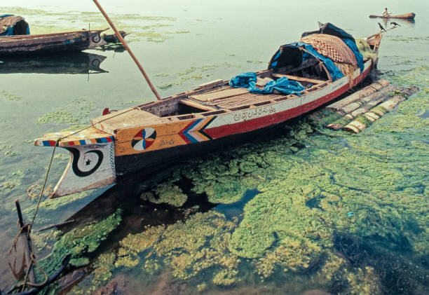 작은 어선 고다바리 강; 바드라크람 - logboat 뉴스 사진 이미지