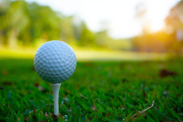 istock golf ball on green in the evening golf course with sunshine. 1321150390