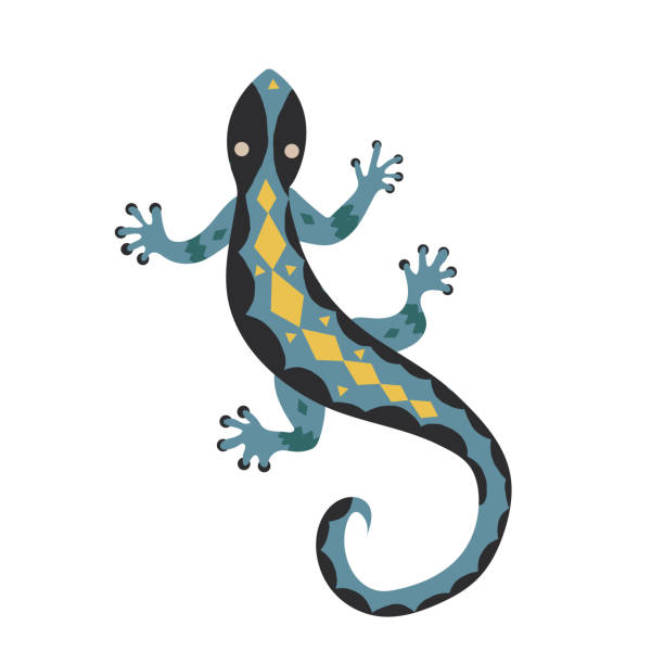A lizard with ethnic patterns on a white background. Isolated design element on a white background. EPS10 A lizard with ethnic patterns on a white background. Isolated design element on a white background. EPS10 amphibians stock illustrations