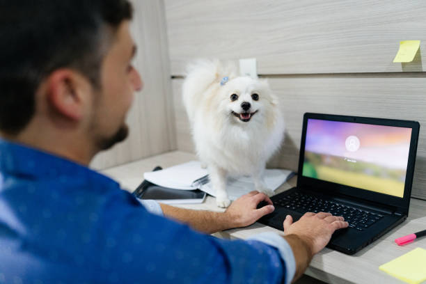 istock Dog beside owner while working on laptop 1321151388