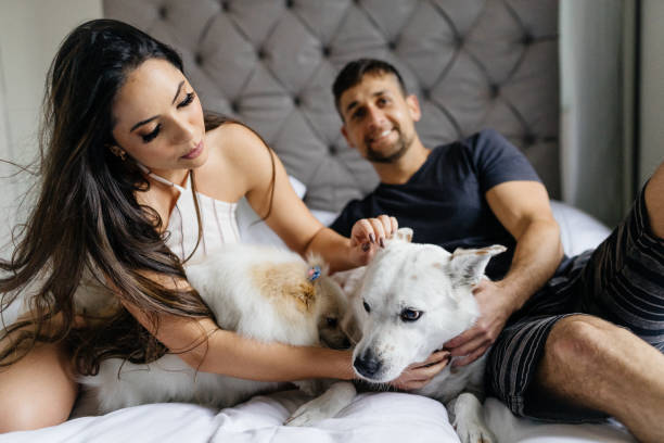 istock Couple having fun with dogs in bed 1321151557