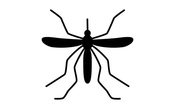 Simple icon of unpleasant pests, mosquitoes Simple icon of unpleasant pests, mosquitoes mosquito stock illustrations