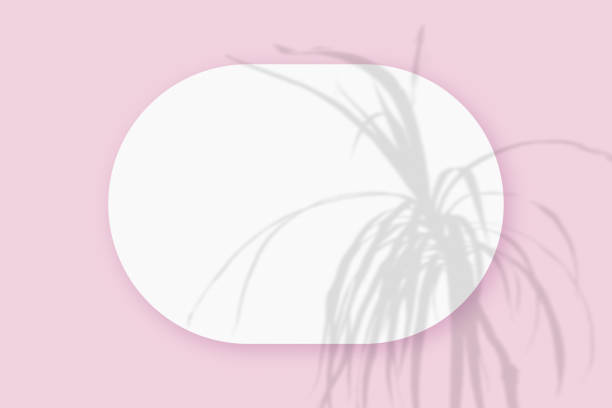 istock Mockup with plant shadows superimposed on an oval sheet of textured white paper on a pink table background. Horizontal orientation 1321153488