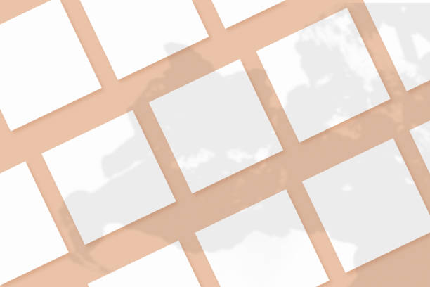 istock Natural light casts shadows from the plant on several square sheets of white paper lying on a beige textured background. Mockup 1321153498