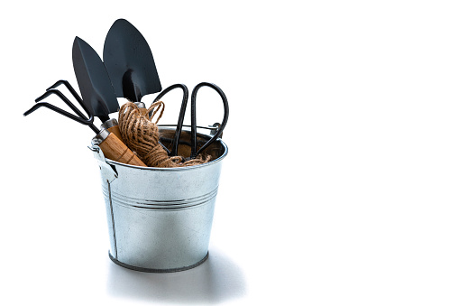 Home gardening tools: front view of basic gardening equipment isolated on white background. The composition is at the left of an horizontal frame leaving useful copy space for text and/or logo at the right.