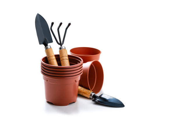 Home gardening: front view of several plant pots and gardening tools isolated on white background. The composition is at the left of an horizontal frame leaving useful copy space for text and/or logo at the right.