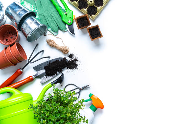 Home gardening: overhead view of gardening equipment arranged at the left border of an horizontal white background leaving useful copy space for text and/or logo at the right.