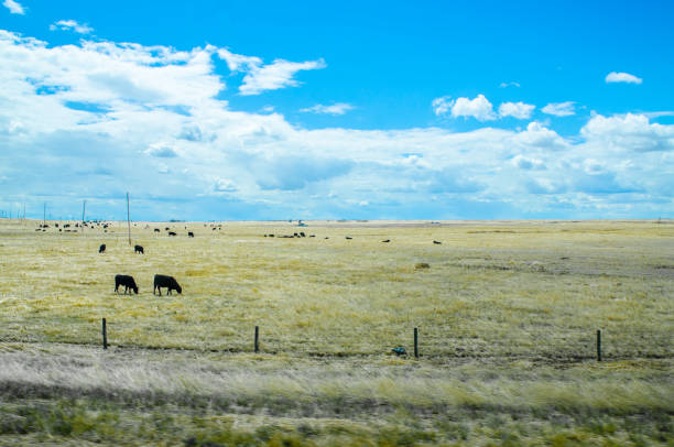 Vast prairies of Alberta during day of springtime