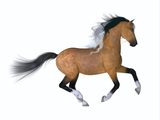 istock Buckskin Quarter Horse 1321158112