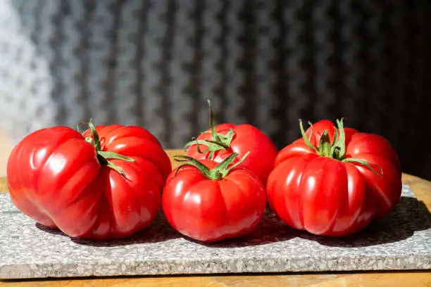 Ripe pink tasty monterosa tomatoes from Spain close up