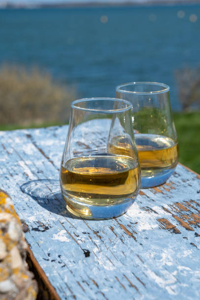 proeverij van single malt schotse whisky met uitzicht op de blauwe zee, de oceaan of de rivier, privé whiskytours in schotland, vk - spey scotland stockfoto's en -beelden