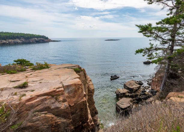 istock Thunder Hole in Acadia National Park 1321158545