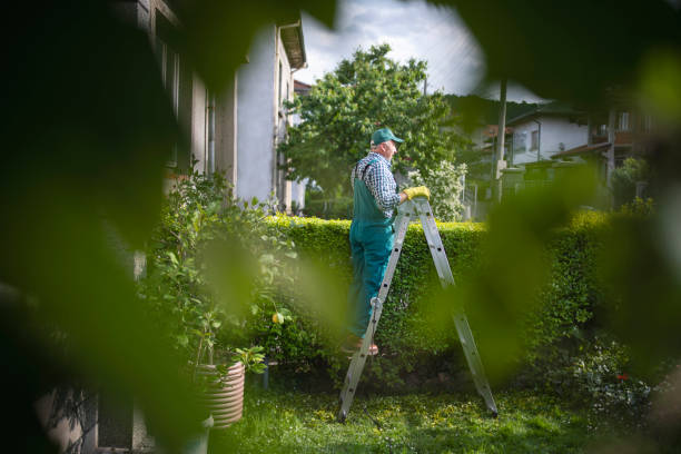istock Senior working in garden. 1321159503