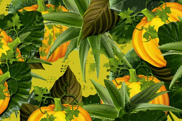 Vector illustration of Tropical floral and pumpkin