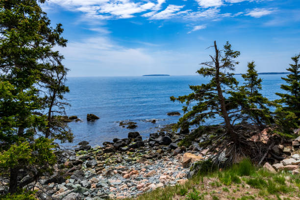 istock Little Hunters Beach in Acadia National Park 1321161336