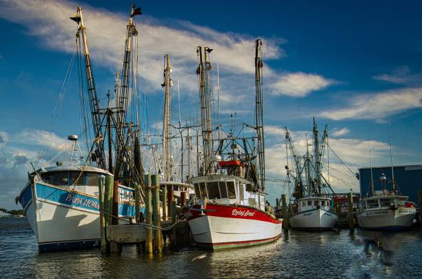 istock Mayport FL Fishing Pier 1321164954