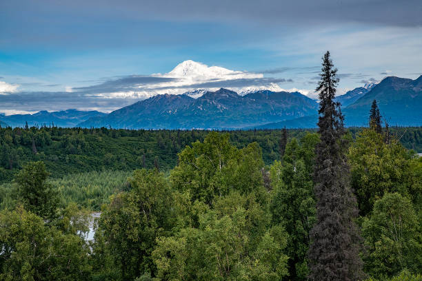 Denali mountain view from distant overlook off the Denali highway south of the mountain peak once named McKinley. John Morrison - Photographer