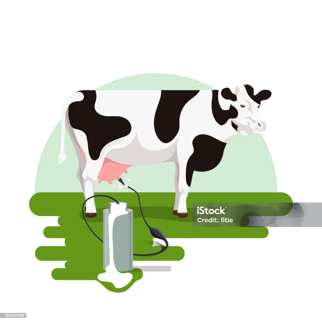 Vector Illustration Of Milking A Cow On The Grass And Milk Roaming Out Of  The Can Stock Illustration - Download Image Now - iStock