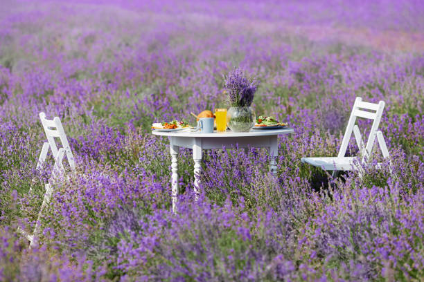 istock Table with food and two chairs in lavender field. 1321168738