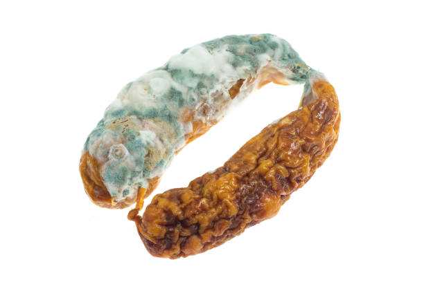 istock moldy sausage on a white isolated background 1321172569
