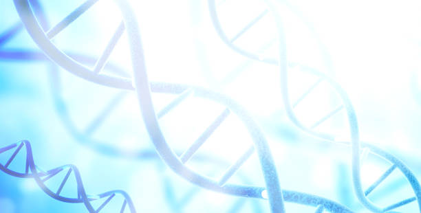 modèles numériques de la structure de l’adn sur fond bleu abstrait - hélice photos et images de collection