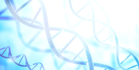 Digital models of DNA structure on abstract blue background. Horizontal scientific banner with spiral DNA. Copy space for text. 3d render