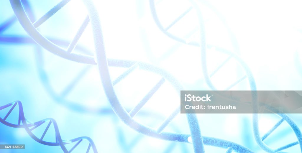 Digital models of DNA structure on abstract blue background Digital models of DNA structure on abstract blue background. Horizontal scientific banner with spiral DNA. Copy space for text. 3d render DNA Stock Photo