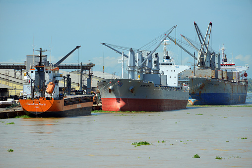 Treichville, Abidjan, Ivory Coast / Côte d'Ivoire: Autonomous Port of Abidjan, handles most of the country's imports and exports - North Quay, Grain Terminal and Ébrié Lagoon - Breadbox Marlin (general cargo), Nimertis and Pacific Pamela (bulk carriers)