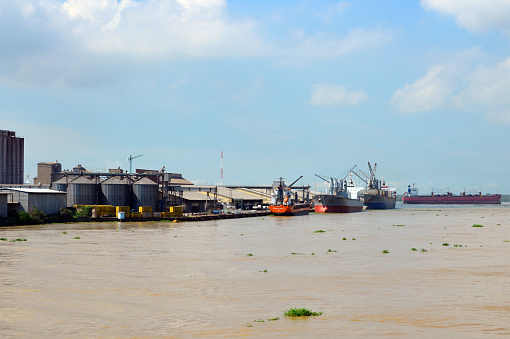 Treichville, Abidjan, Ivory Coast / Côte d'Ivoire: Autonomous Port of Abidjan - North Quay, Grain Terminal and Ébrié Lagoon - Breadbox Marlin (general cargo), Nimertis and Pacific Pamela (bulk carriers)