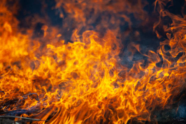 istock Dry grass is burning. Fire in the field in spring. 1321175364