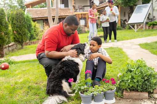A young African-American boy is sitting on the grass close to his dog, who is enjoying the fuss from the man crouched down next to him, behind them the rest of the family are in the garden on a sunny day