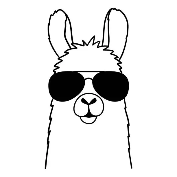 Vector illustration of Cute llama with sunglasses.  Vector illustration isolated on white background.