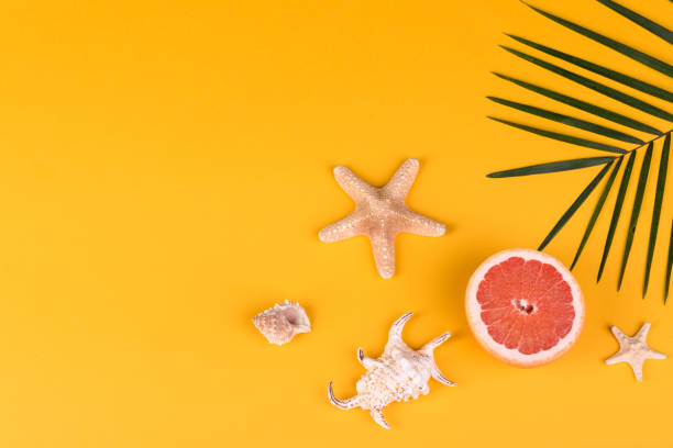 istock Beach accessories with shells and sea stars on a colored background 1321181776