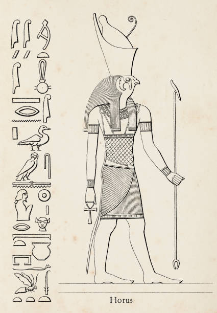 ilustrações de stock, clip art, desenhos animados e ícones de ancient egyptian hieroglyph of horus goddess of kingship - luxor