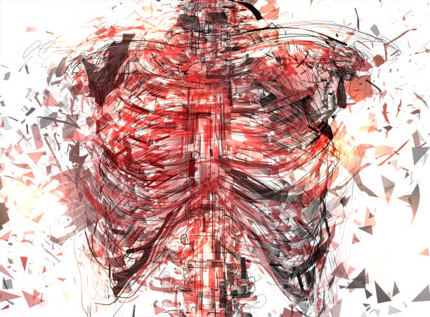 ilustrações de stock, clip art, desenhos animados e ícones de vector abstract chaotic background."nman"u2019s spine and ribs exploded - lumbar vertebra