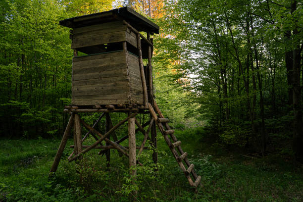 istock Hunting Stand in the green forest 1321190362