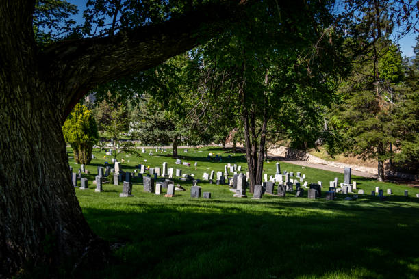 istock Headstones at a Cemetery With a Large Tree in the Foreground 1321192800