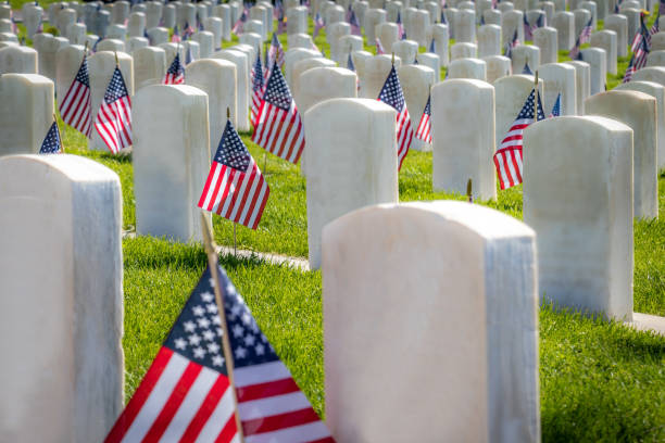 military headstones and gravestones decorated with flags for memorial day - arlington virginia arlington national cemetery veteran cemetery imagens e fotografias de stock