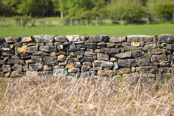 istock Stone Wall Details, in Yorkshire 1321194171