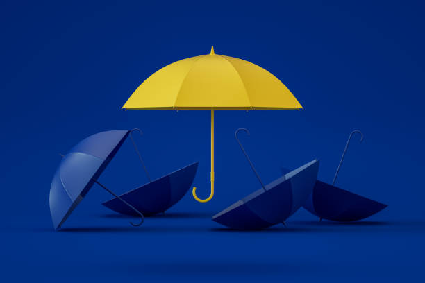 istock Umbrella, Standing out from the Crowd, Leadership 1321198278