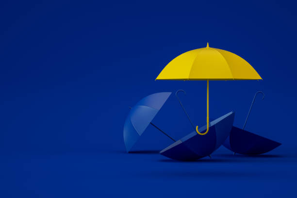 istock Umbrella, Standing out from the Crowd, Leadership 1321198426