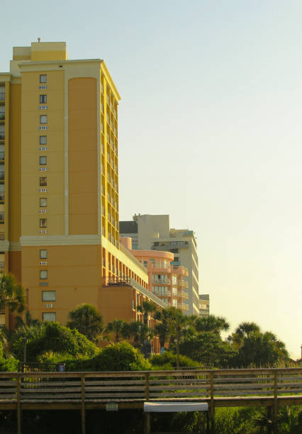 istock Coastal view to the beach 1321198742