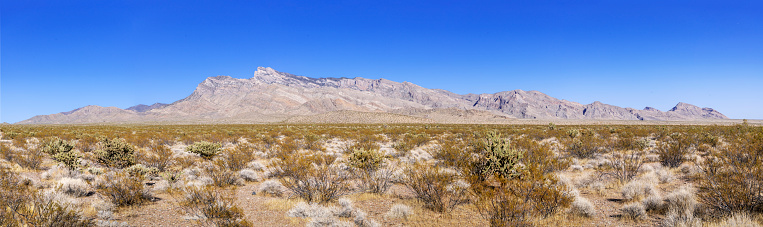 Panorama of Victoria peak and range in the recently established (2016) Gold Butte National Monument in eastern Nevada. It consists of 120,166 ha (nearly 300,000 acres) of desert east of Lake Mead and west of the Arizona border. It houses several endangered species and many sites of ancient North American indigenous peoples activities and artwork, as well as outstanding, if remote, scenery.