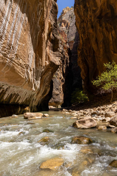 istock A view from the middle of the narrows 1321199993