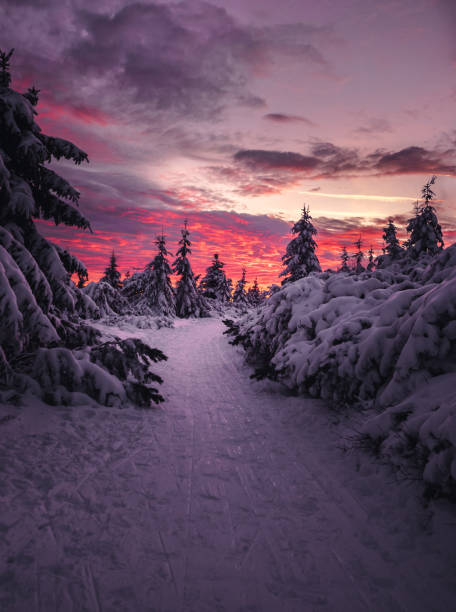 istock Winter landscape in a snowy mountains, still life 1321203504