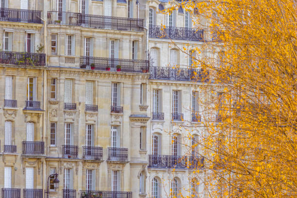 istock Paris France 1321203729