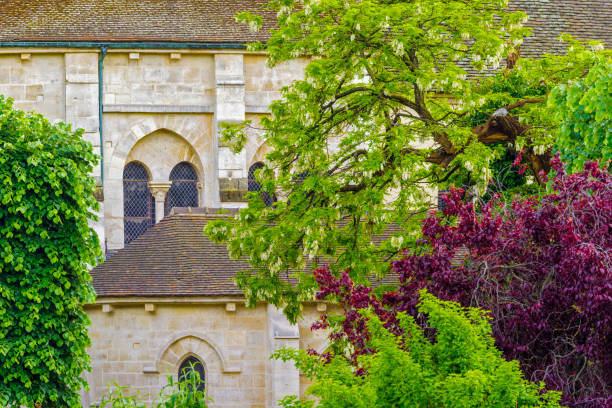 Pink flowers framing Saint Pierre Abbey in Sorde l'Abbaye, Landes, Nouvelle Aquitaine, France, highlighting its historical architecture and rose window