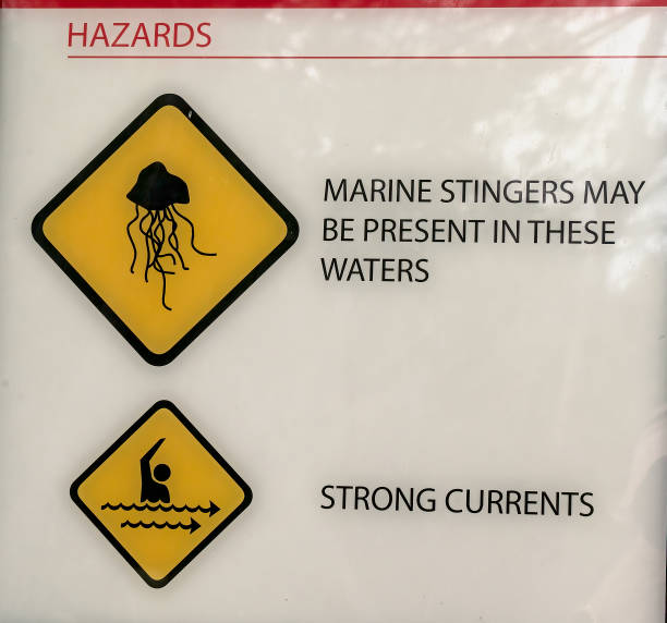 istock Marine Stingers Warning Sign 1321206511