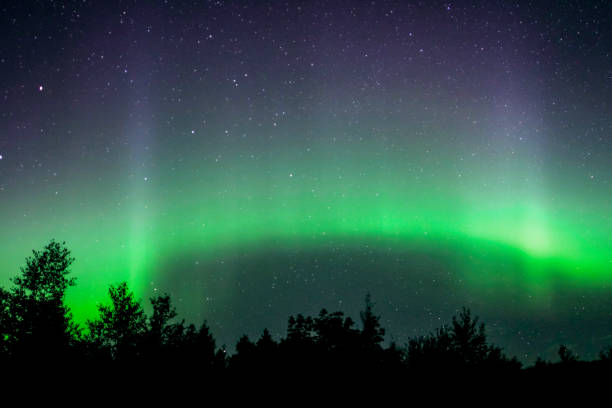 istock Dancing Green Northern Lights over a Minnesota Treeline 1321207971